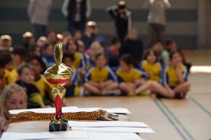 Fußball2015 (31)