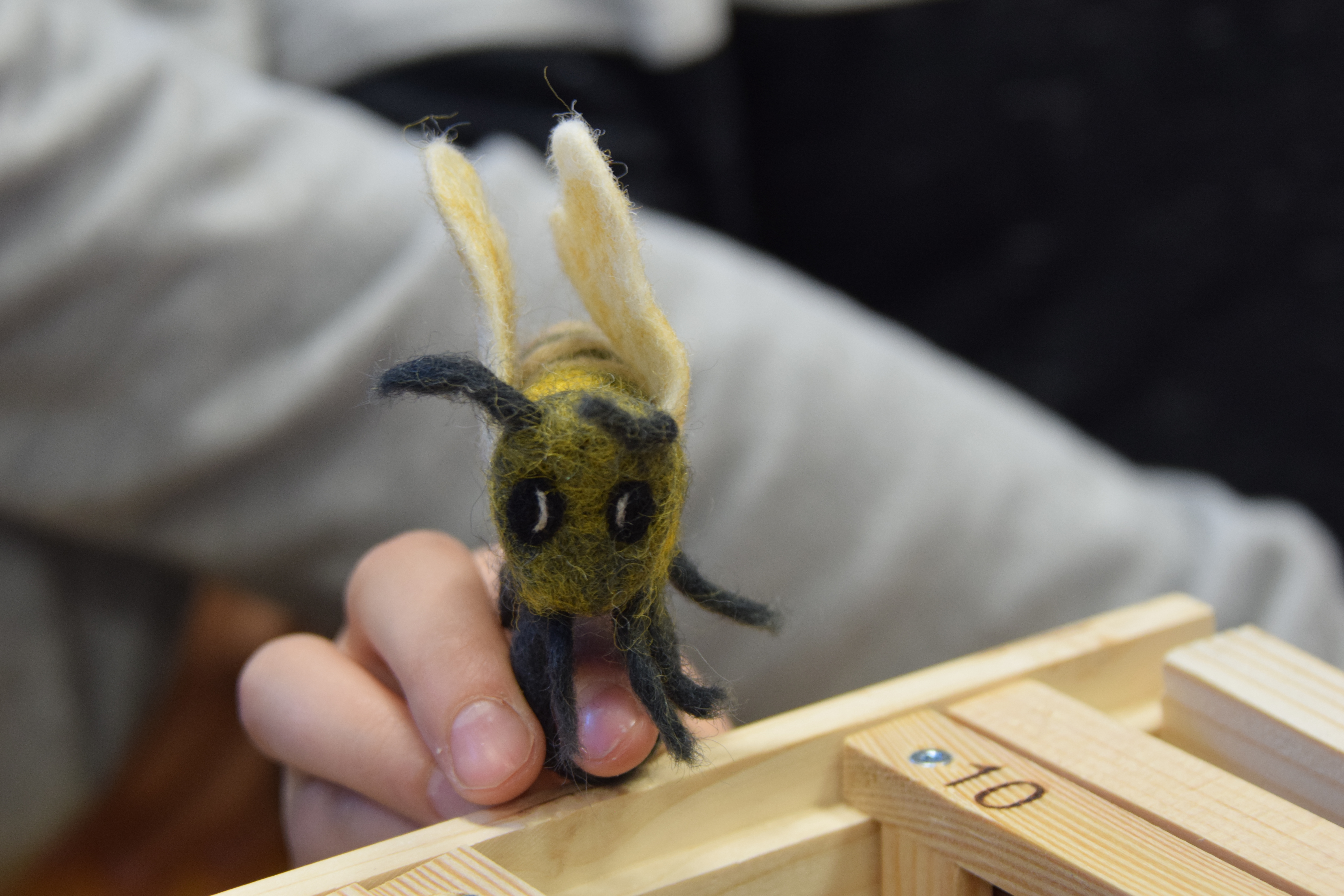 2b gewinnt bei „Bienen machen Schule“