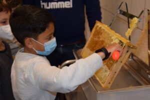 Honig schleudern (7)_27