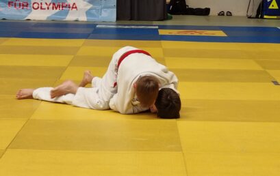 Judo-Grundschulcup