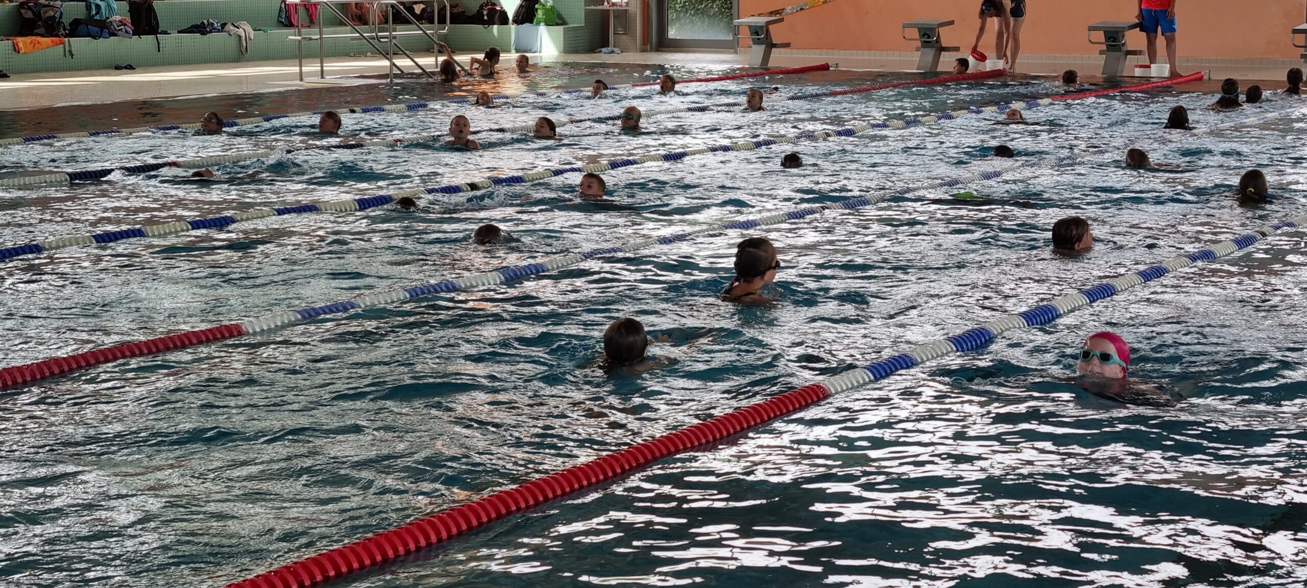 Schwimmfest der Speyerer Grundschulen