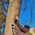 Nistkastenkontrolle  2026