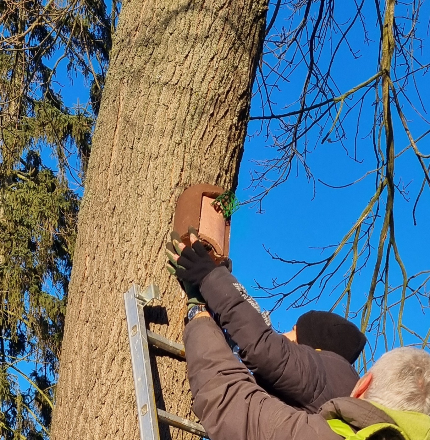 Nistkastenkontrolle 2026 Nistkastenkontrolle 2026