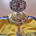 2. und 5. Platz beim Handballturnier
