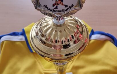 2. und 5. Platz beim Handballturnier