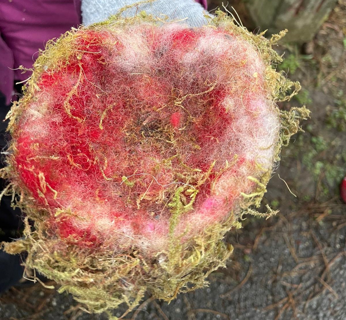 Bericht über das Nistkastenprojekt der 3c Bericht über das Nistkastenprojekt der 3c